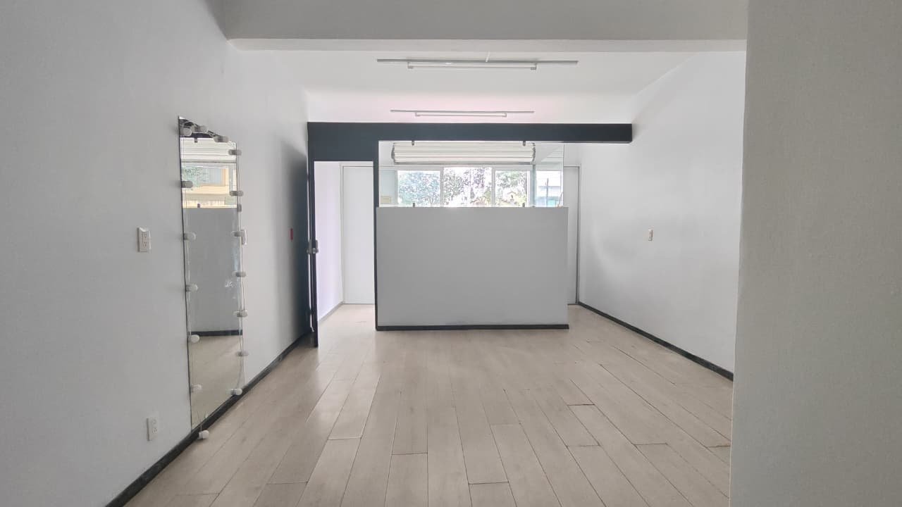 Local Av. Hidalgo 28m (6)