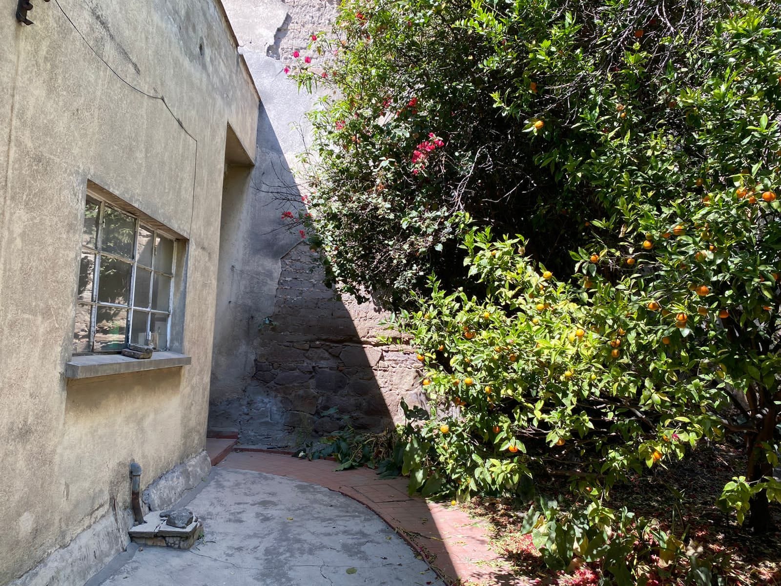 IMG-20241022-WA0109 (1)