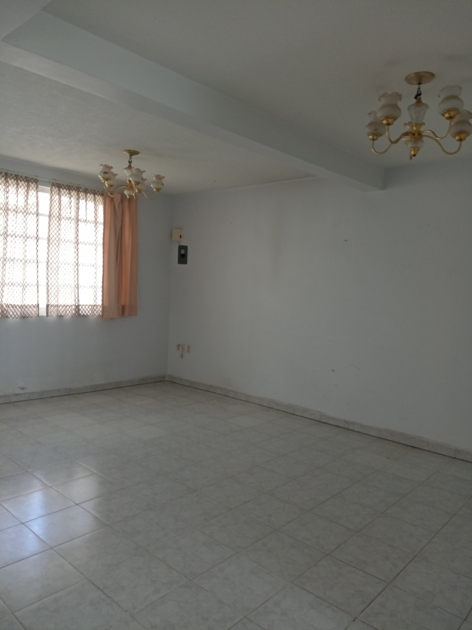 IMG_20251005_133803 (1)